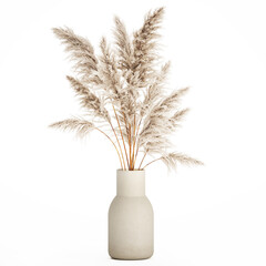 3D illustration Floral white bouquet of dried flowers with branches of cortaderia pampas
