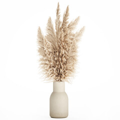 3D illustration Floral white bouquet of dried flowers with branches of cortaderia pampas