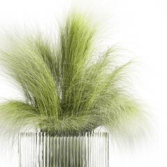 3D illustration Lush beautiful bouquet of cherry blossom branches with green leaves in a modern glass vase sakura flowers isolated on white background