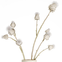 3D illustration Floral white bouquet of dried flowers from branches of thorn isolated on white background