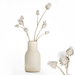 3D illustration Floral white bouquet of dried flowers from branches of thorn isolated on white background