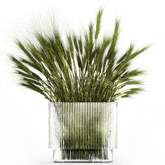 3D illustration Beautiful summer designer bouquet of wild flowers in a modern glass vase with wheat tufts isolated on white background