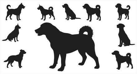 Akita and Appenzeller Sennenhund Dog Silhouettes - High-Quality Canine Vector Graphics