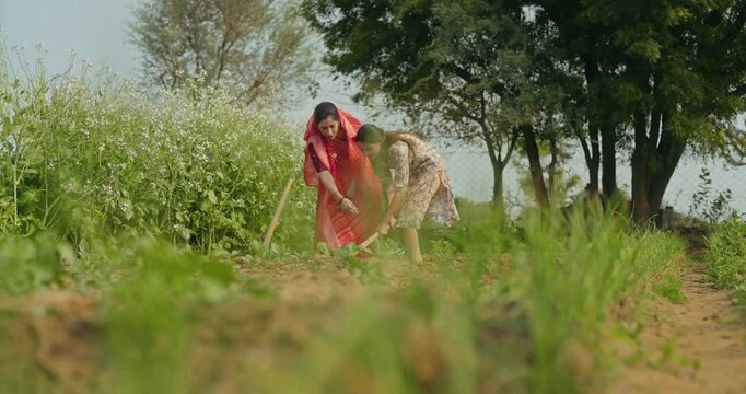 Indian happy young woman lady with teen age girl wear red saare talking working together hold hoe tool prepare for planting at farmland asian smiling mother teach dig soil outdoor desi life rural area