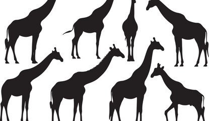 Giraffe Silhouette Art: Black and White Vector Graphics with Abstract Nature Illustrations for Creative Wildlife Design