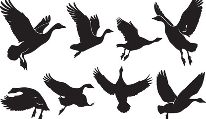 Fototapeta premium Elegant Geese in Flight: Silhouettes of Feathered Creatures in Wildlife Illustration and Graphic Design for Ornithology Enthusiasts