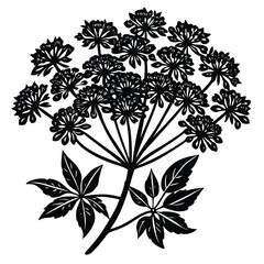 Adobe Illustrator AValerian herb flower silhouette set, Hand drawn botanical vector illustration of Valeriana officinalis sprigs on transparent background, Black outlinertwork