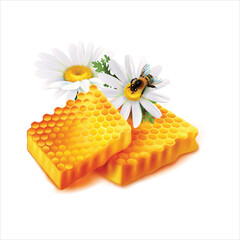 Realistic illustration of fresh honeycomb with melted honey