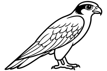 Falcon line art outline clean vector