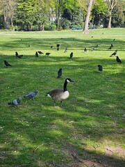 Düsseldorf, Germany