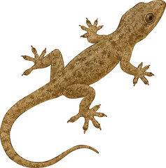Realistic 4K House Gecko Illustration