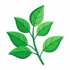 Obraz premium leaves of plants vector illustration