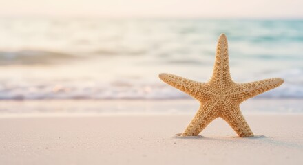 
Starfish standing on a sunny beach at sunset. Vacation and travel concept with soft sea waves in the background. Summer holiday backdrop for banner or poster with copy space.
