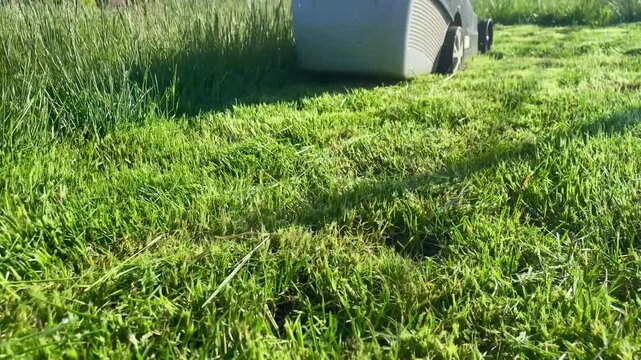 A man mowing overgrown grass with an electric lawn mower on a bright sunny day. Outdoor garden work in summer, backyard scene, real-life moment.