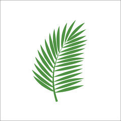 leaf,palm,green high resolution vector tropical plant for beach branding summer events graphics for digital promotion and social media island vibe themes