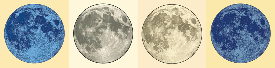 beautiful moon vector