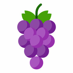 vector illustration of grapes