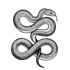 Snake Tattoo Design: Black Ink