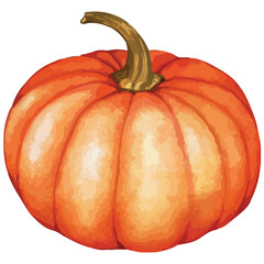 Watercolor Orange Pumpkin. Hand-Drawn Autumn Harvest Illustration. Thanksgiving and seasonal  decor.
