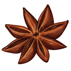 Watercolor Star Anise. Spice Herb Botanical Illustration for culinary themes, recipe cards, herbal packaging, or autumn and holiday food designs.
