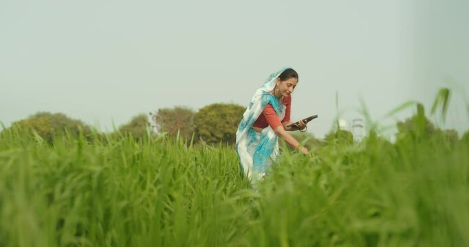 Indian gen x adult farmer woman lady wear saree standing outdoor farmland holding tab device browsing website looking screen Asian smiling female use calculate data yield outside rural area desi life	