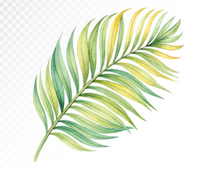Fototapeta premium Watercolor Tropical Leaf with Green and Yellow Shades for Nature Themes in Soft Colors for Decor and Botanical Art Prints