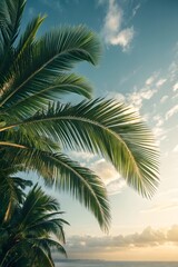 Obraz premium Palm Leaves Against Sky at Golden Hour Near Ocean