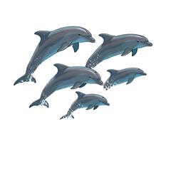 Fototapeta premium Dolphin Pod: 5 Jumping Dolphins