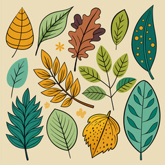 Fototapeta premium Autumn Leaves Collection. Nature.Inspired Leaf Designs for Fall