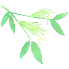 竹の花のイラスト