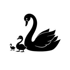 black swan vector illustration