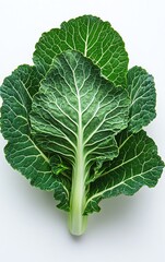 Beautiful decorative cabbage leaves  high resolution   for isolate image