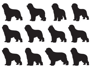 BRIARD DOG SILHOUETTE