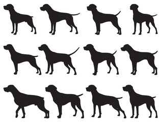 ENGLISH POINTER DOG SILHOUETTE