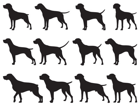 ENGLISH POINTER DOG SILHOUETTE