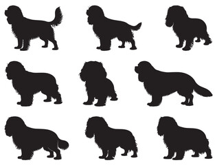 CAVALIER KING CHARLES SPANIEL DOG SILHOUETTE