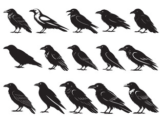 RAVEN SILHOUETTE