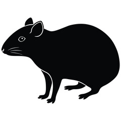 agouti sihouette