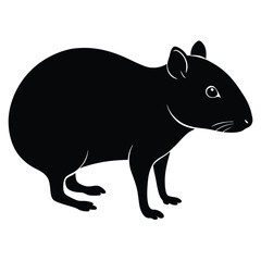 agouti sihouette