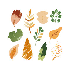 Autumn leaves collection isolated elements design
