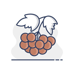 Rowan branch with berries and leaf vector icon