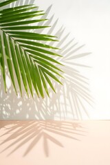 Obraz premium Palm leaf shadow on the white wall background nature