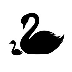 black swan vector illustration