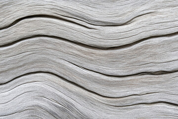 Variations in wood grain texture reveal unique patterns and natural beauty in a piece of weathered timber