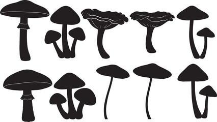 Mushroom variety silhouette set vector illustration