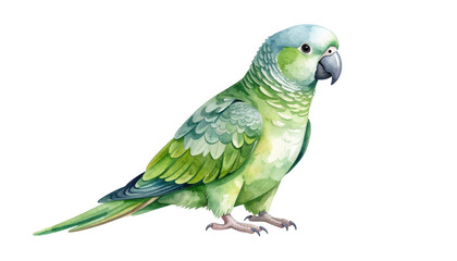 Captivating portrait of a green parrot against striking black background green