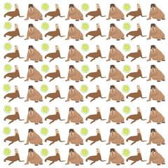 walrus, seal with fruit as a pattern background