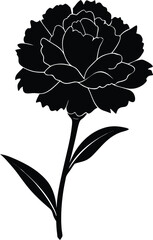 vector illustration of a rose