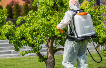 Gardener Applies Pesticide to Fruit Tree in Backyard Garden During Sunny Afternoon