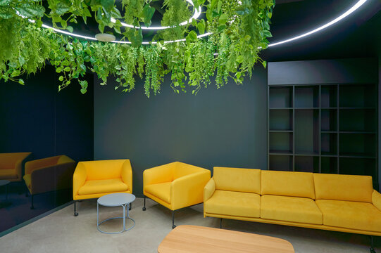 modern lounge area with vibrant yellow sofas and lush hanging plants creating a fresh and inviting atmosphere. sleek dark walls contrast with bright furniture in cozy office setting
